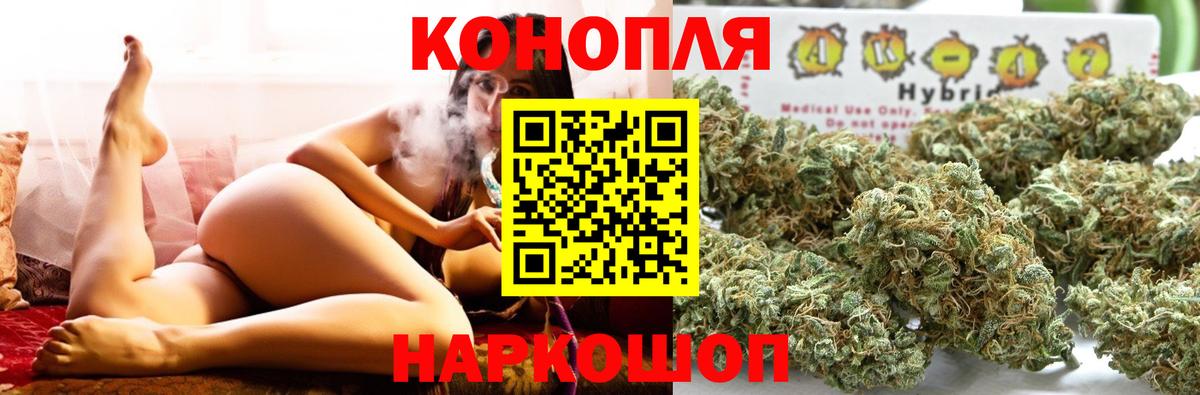 Каннабис сатива  Бошки Шишки план  Мыски  Вход с VPN 
